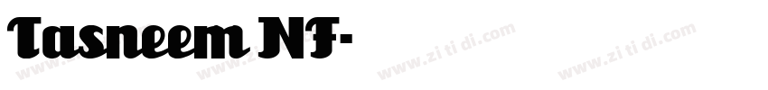 Tasneem NF字体转换